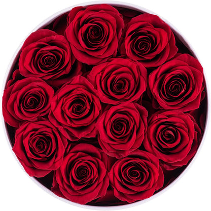 Preserved Real Roses in a Box, Rose Box Gifts for Her, Eternal Roses in a Box, Romantic Gifts for Her, Gift Box for Her/Women/Mother/Friend (12 Red Roses, round White Box)