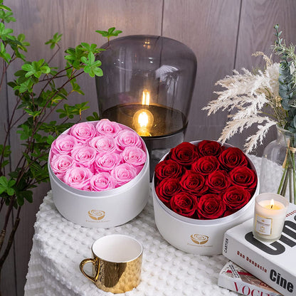 Preserved Real Roses in a Box, Rose Box Gifts for Her, Eternal Roses in a Box, Romantic Gifts for Her, Gift Box for Her/Women/Mother/Friend (12 Red Roses, round White Box)